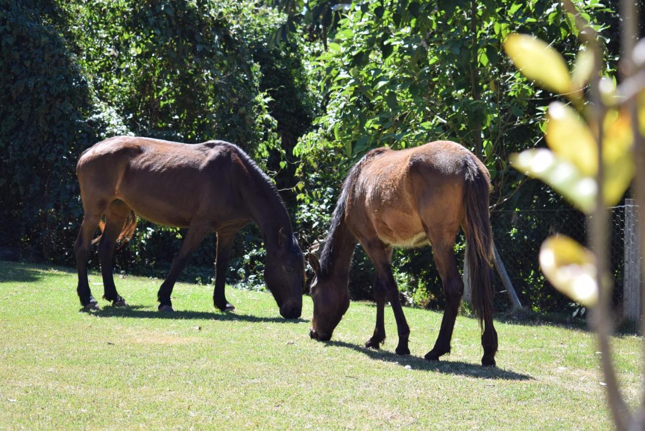 Pousada Appaloosa Águas de Lindóia Exterior foto